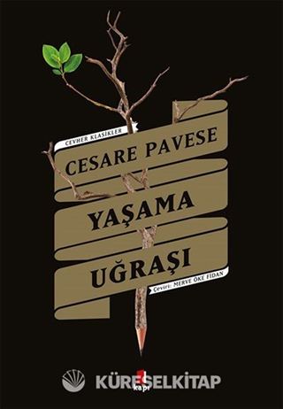 Yaşama Uğraşı