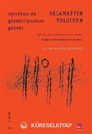 Uyurken de Görebiliyorsun Geceyi
