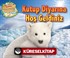 Kutup Diyarına Hoş Geldiniz