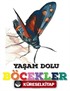 Yaşam Dolu Böcekler ve Bilinmeyen Özellikleri