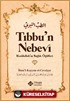 TIbbun Nebevi