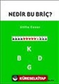 Nedir Bu Briç?