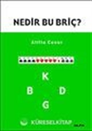 Nedir Bu Briç?