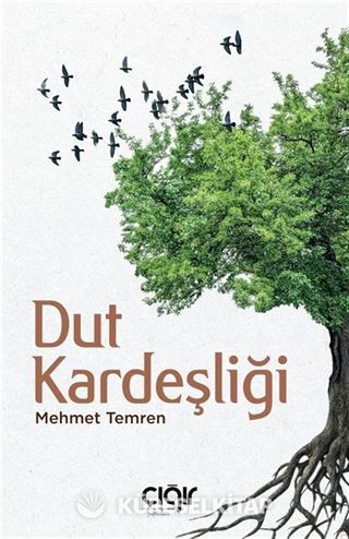 Dut Kardeşliği