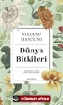 Dünya Bitkileri