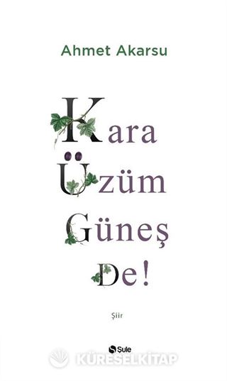 Kara Üzüm Güneş De!