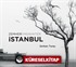 Zemheri İstanbul Midwinter