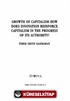 Growth Of Capitalism How Does Innovation Reınforce Capitalism In The Progress Of Its Authority?