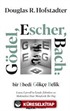 Gödel, Escher, Bach: Bir Ebedi Gökçe Belik Lewis Carroll'ın İzinde Zihinlere Ve Makinelere Dair Metaforik Bir Füg