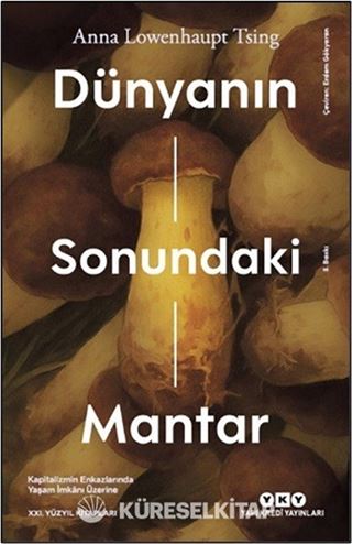 Dünyanın Sonundaki Mantar
