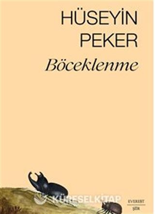 Böceklenme