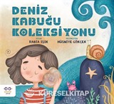 Deniz Kabuğu Koleksiyonu
