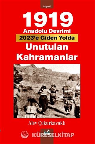 1919 Anadolu Devrimi