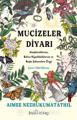 Mucizeler Diyarı: Ateşböceklerine, Balina Köpekbalıklarına ve Başka Şahanelere Övgü