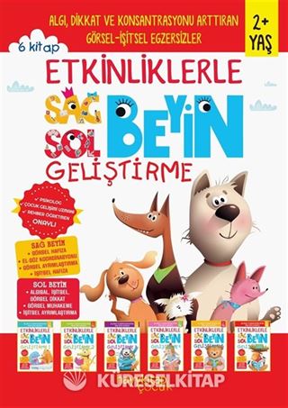 Etkinliklerle Sağ Beyin Sol Beyin Geliştirme (2+ Yaş) (6'lı Set)