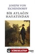 Bir Aylağın Hayatından