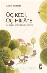 Üç Kedi, Üç Hikaye