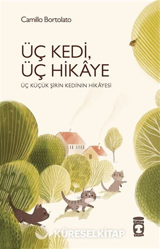 Üç Kedi, Üç Hikaye