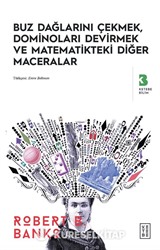 Buz Dağlarını Çekmek, Dominoları Devirmek ve Matematikteki Diğer Maceralar