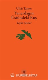 Yanardağın Üstündeki Kuş