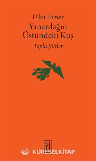 Yanardağın Üstündeki Kuş