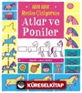 Adım Adım Resim Çiziyorum: Atlar ve Poniler