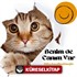 Benim de Canım Var