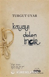 Kayayı Delen İncir