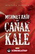 Mehmet Akif ve Çanakkale