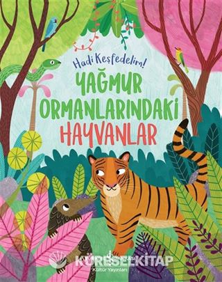 Yağmur Ormanlarındaki Hayvanlar / Hadi Keşfedelim!
