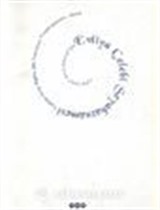Evliya Çelebi Seyahatnamesi -8. Kitap