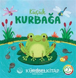 Küçük Kurbağa