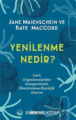 Yenilenme Nedir?