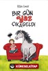Bir Gün Yaz Çıkageldi