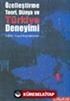 Özelleştirme Teori, Dünya ve Türkiye Deneyimi