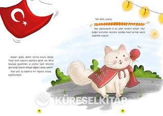 Hırsız Peşinde