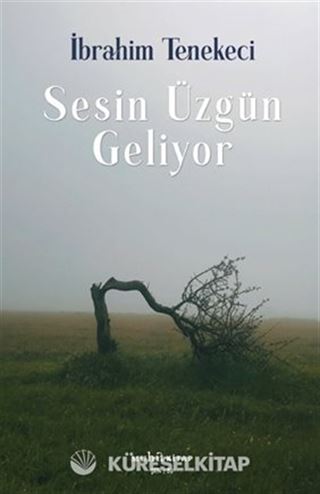 Sesin Üzgün Geliyor