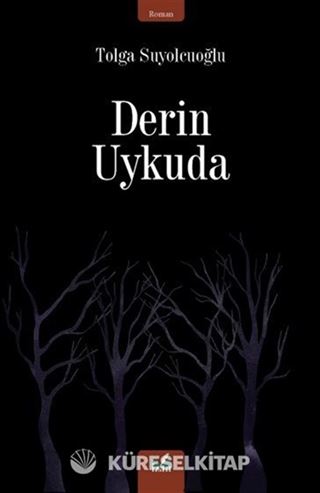 Derin Uykuda
