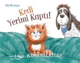 Kedi Yerimi Kaptı!