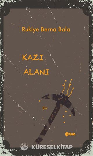 Kazı Alanı