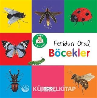 Minik Kitaplarım Böcekler