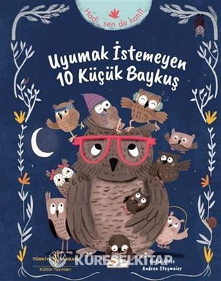 Uyumak İstemeyen 10 Küçük Baykuş
