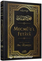 Mecmû'u'l-Fetava (22. cilt)