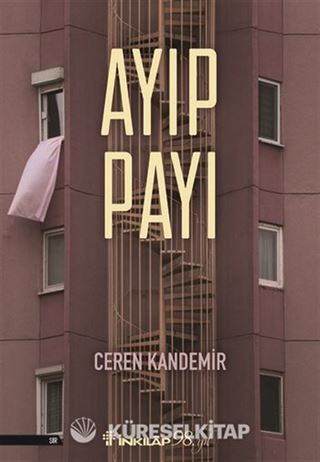 Ayıp Payı