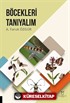 Böcekleri Tanıyalım