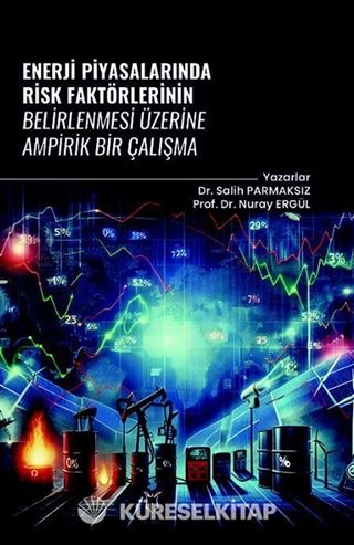 Enerji Piyasalarında Risk Faktörlerinin Belirlenmesi Üzerine Ampirik Bir Çalışma