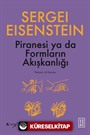 Piranesi ya da Formların Akışkanlığı
