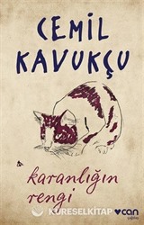 Karanlığın Rengi