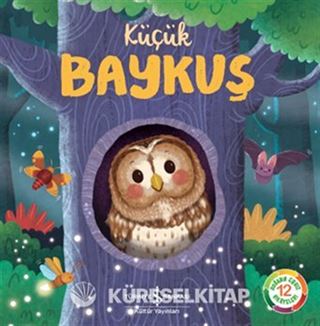Küçük Baykuş