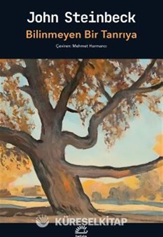 Bilinmeyen Bir Tanrıya
